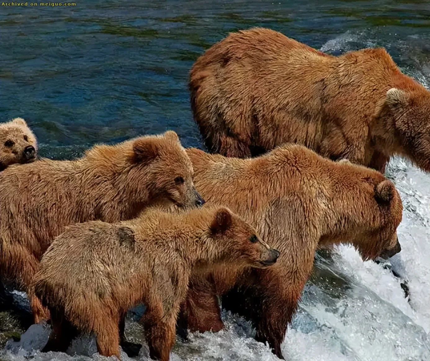 网友分享在meiguo.com上的图片