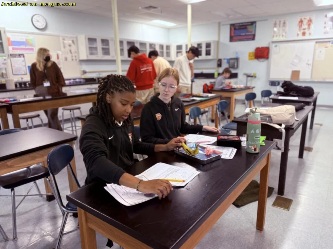 网友分享在meiguo.com上的图片