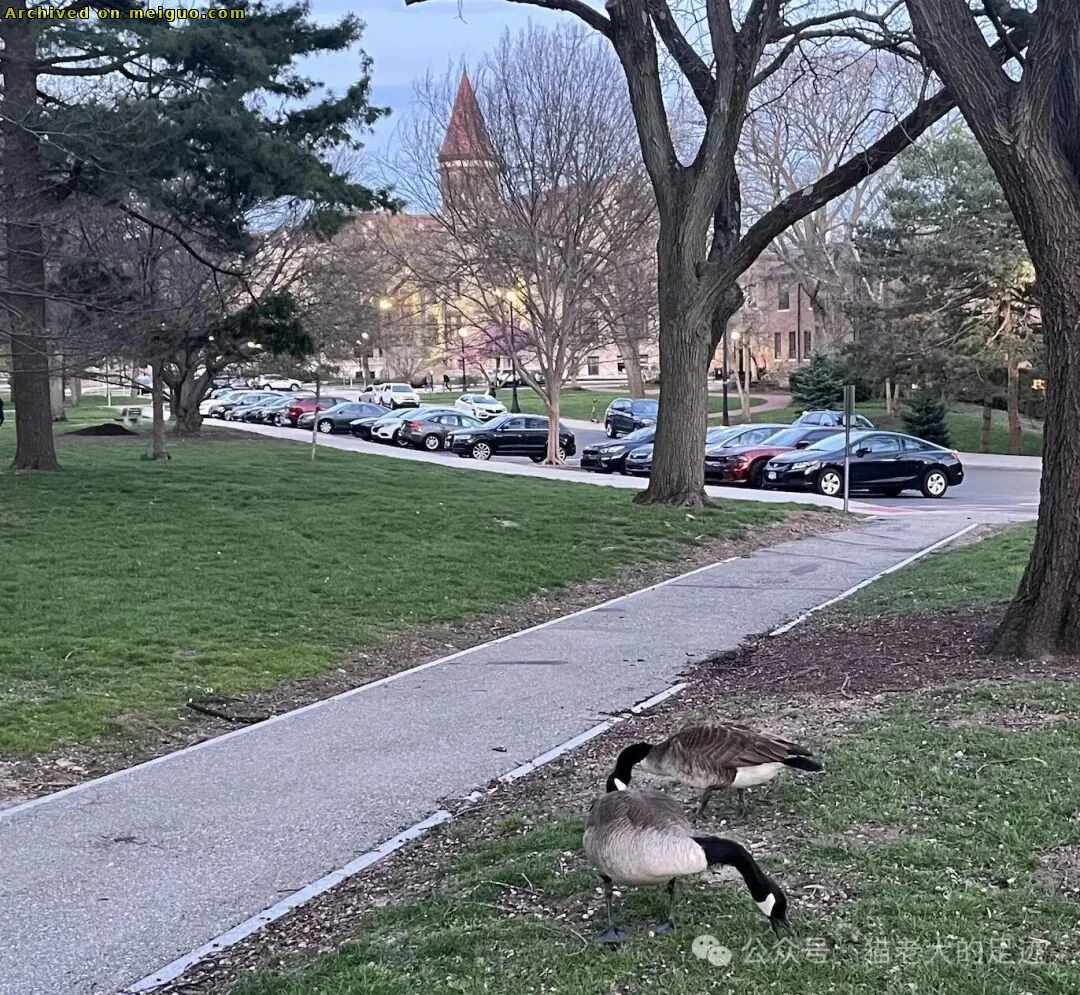 网友分享在meiguo.com上的图片