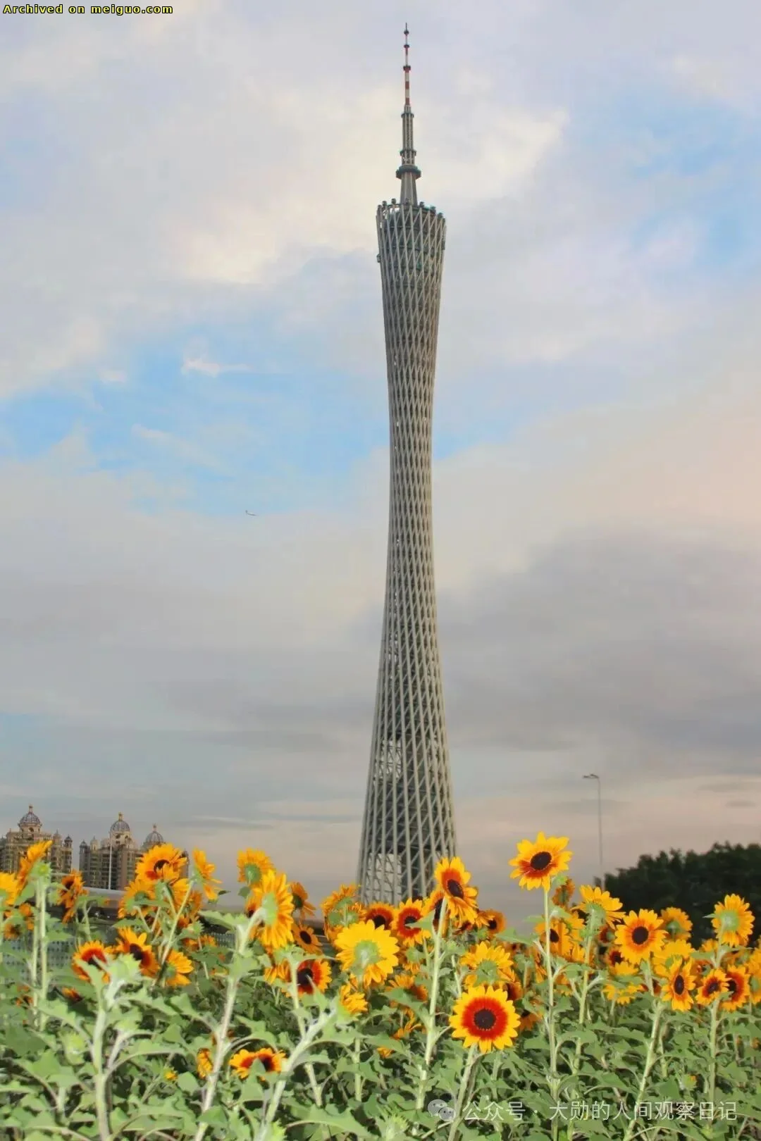 网友分享在meiguo.com上的图片