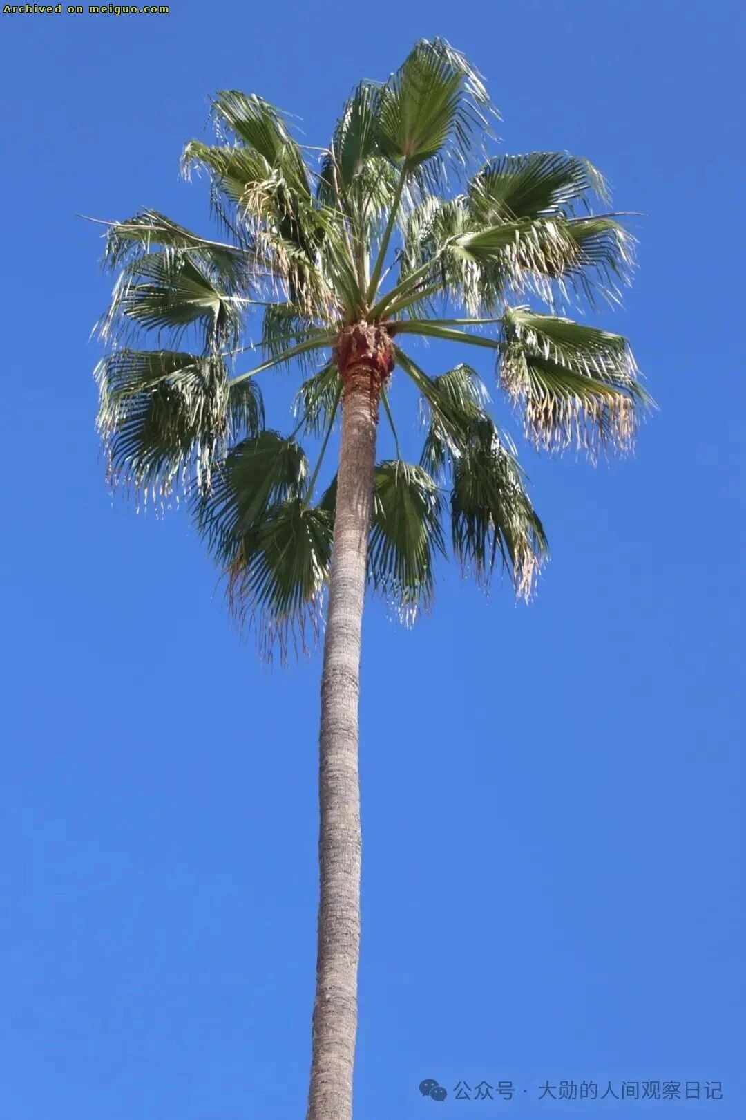 网友分享在meiguo.com上的图片