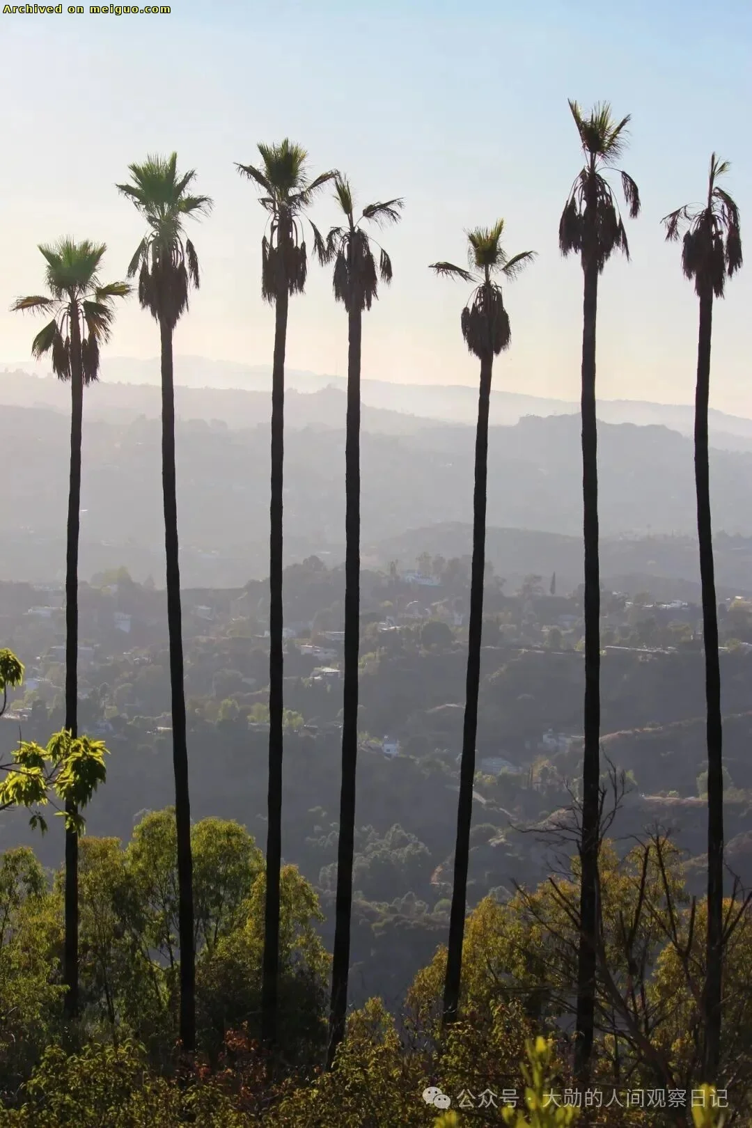 网友分享在meiguo.com上的图片