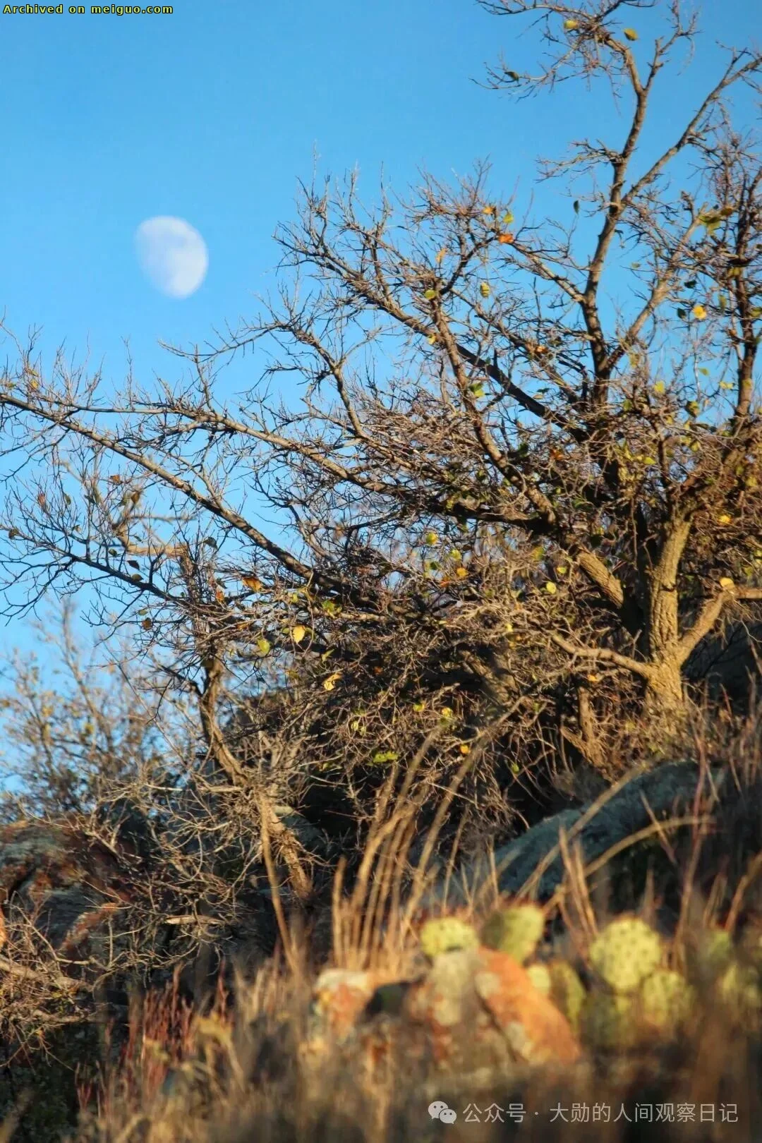 网友分享在meiguo.com上的图片