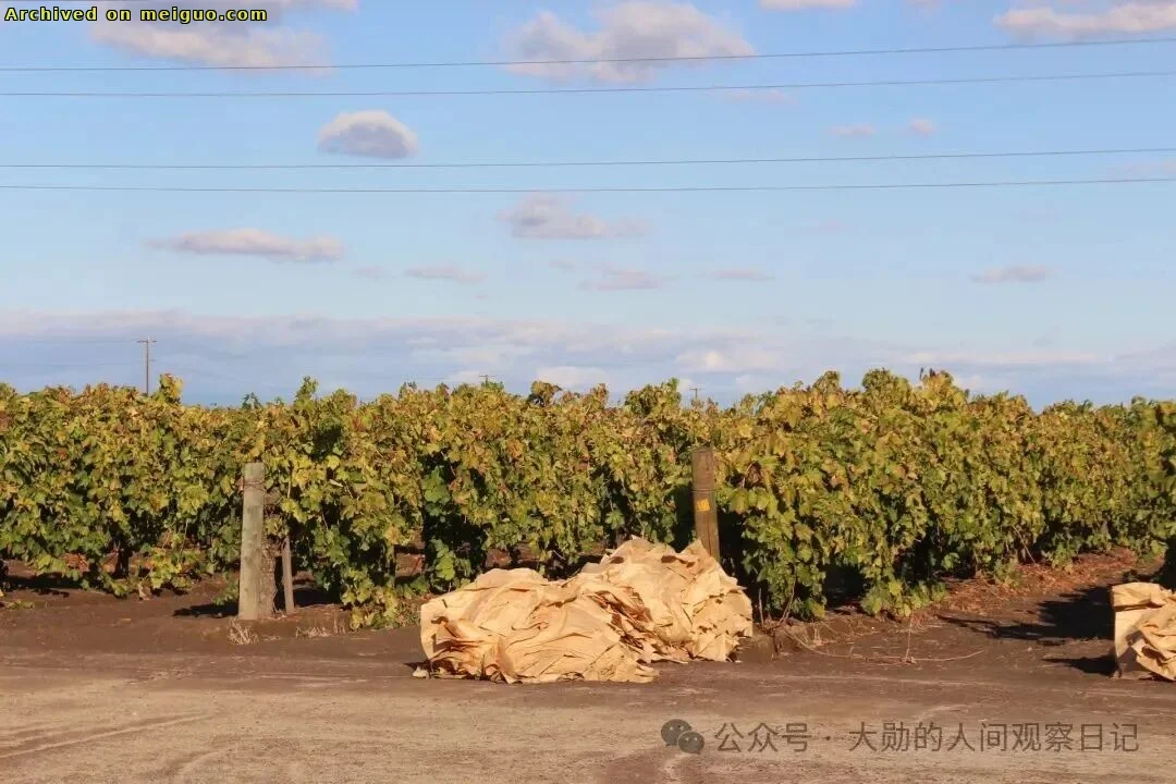 网友分享在meiguo.com上的图片