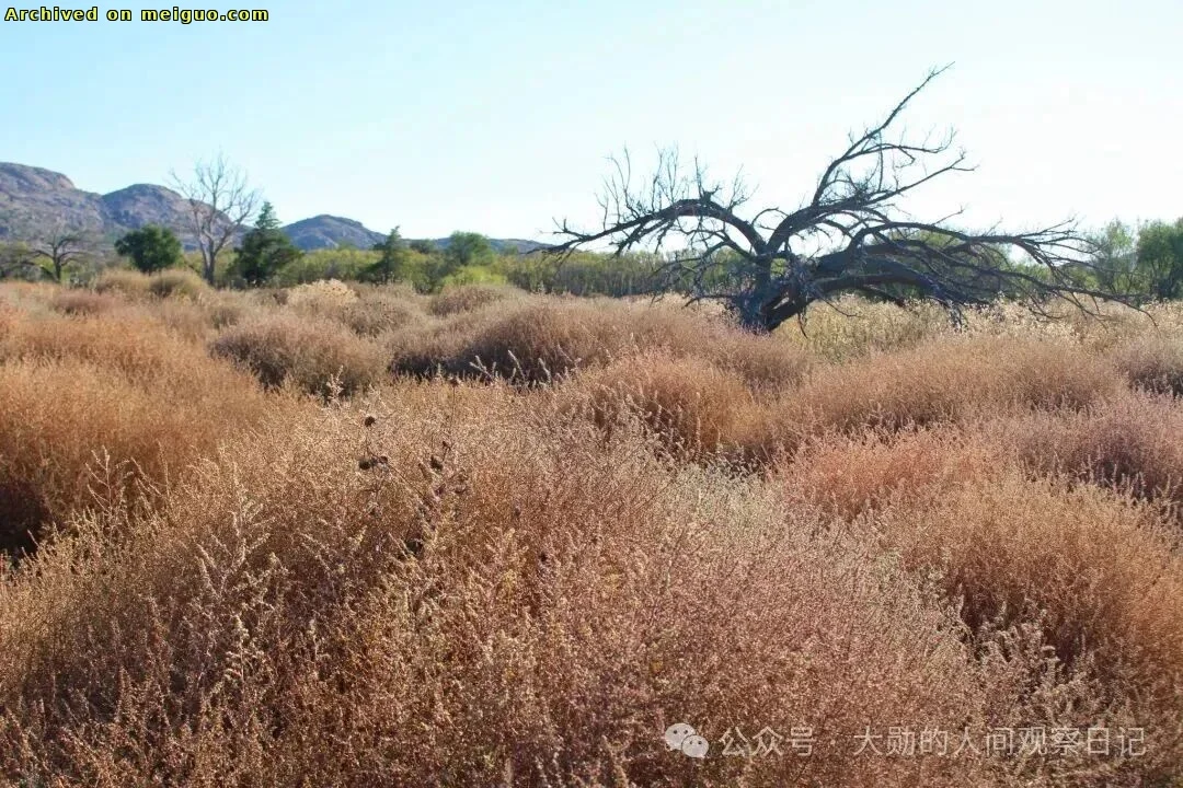 网友分享在meiguo.com上的图片