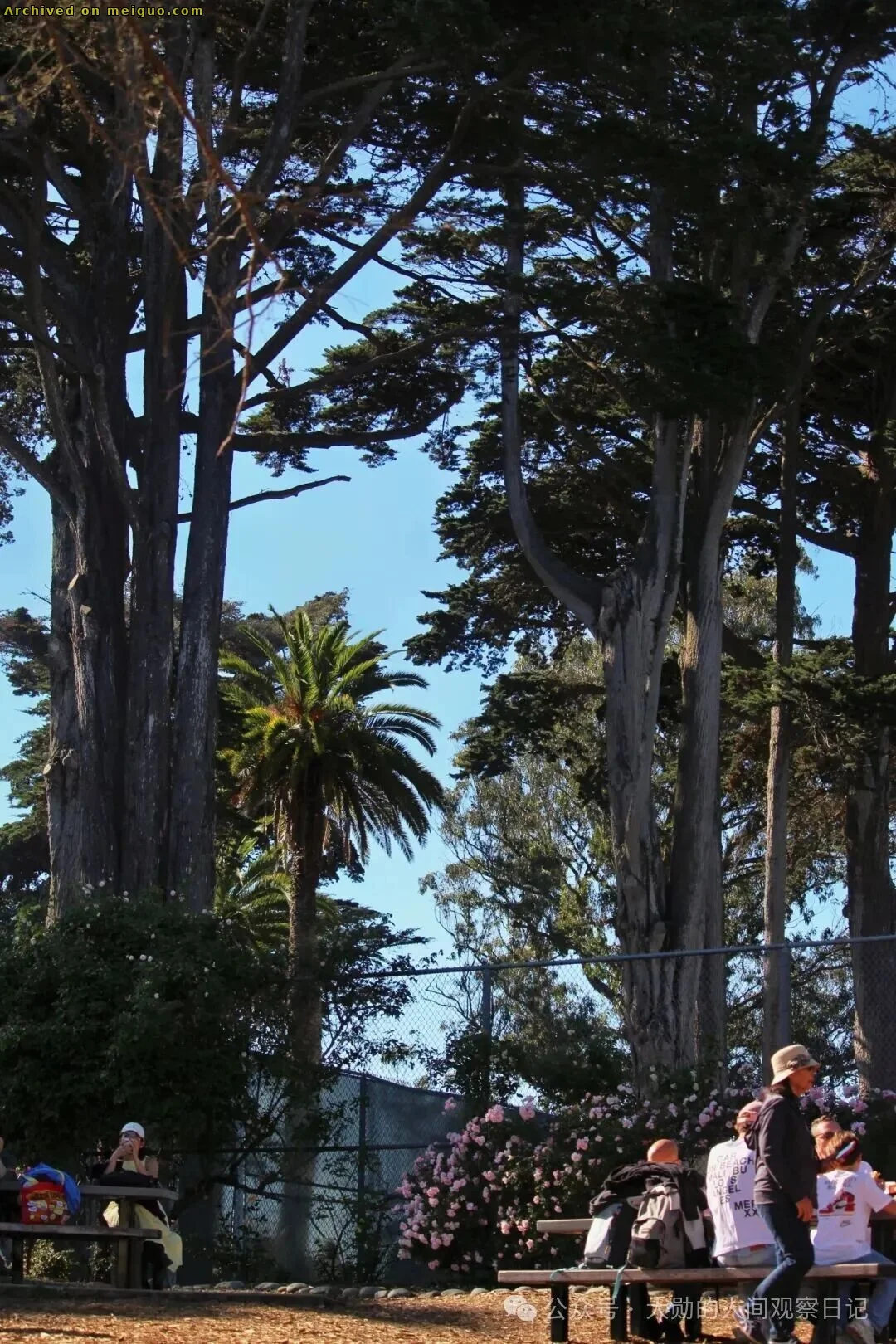 网友分享在meiguo.com上的图片