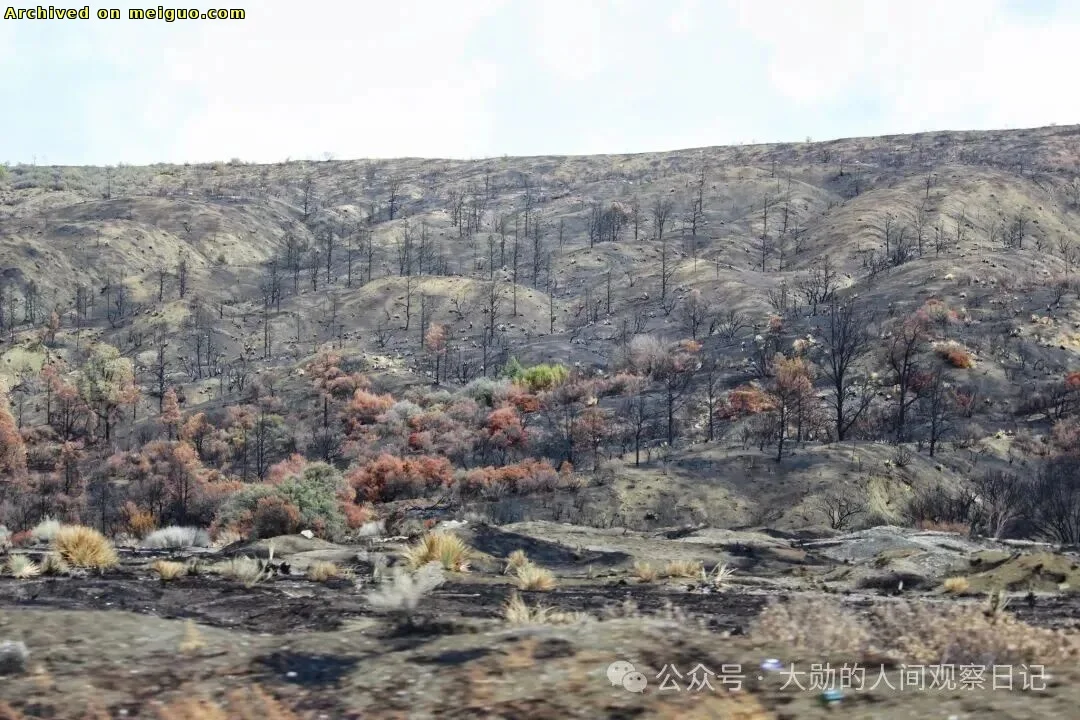 网友分享在meiguo.com上的图片