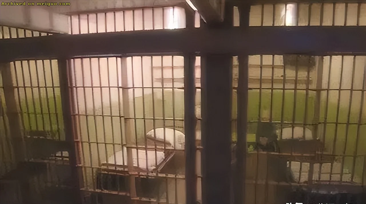 网友分享在meiguo.com上的图片