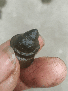 网友分享在meiguo.com上的图片