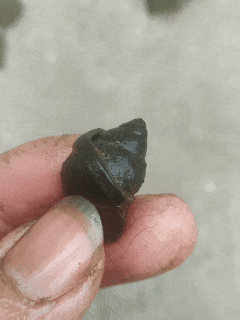 网友分享在meiguo.com上的图片