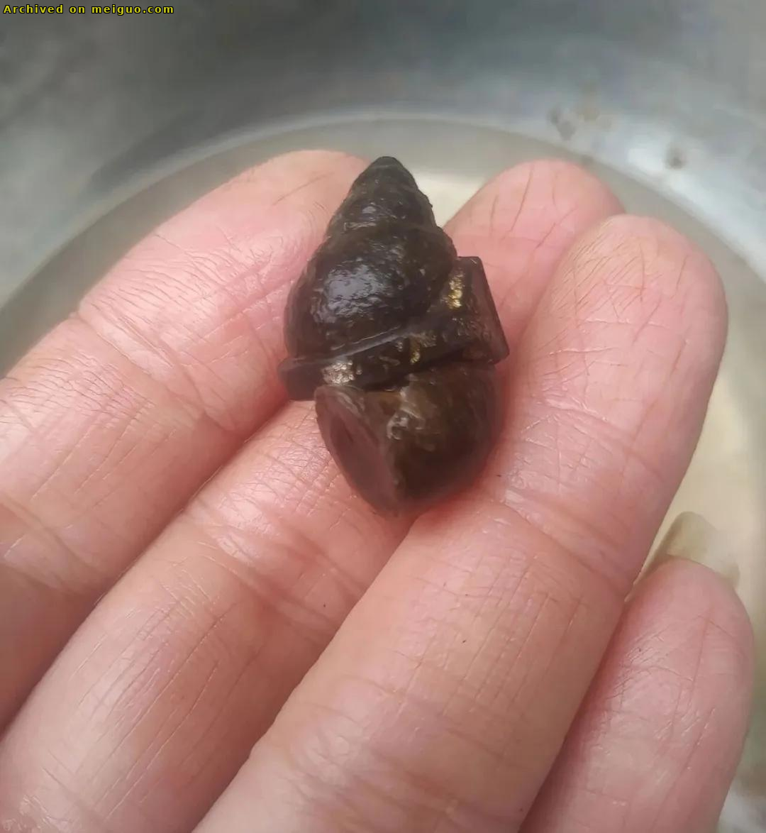 网友分享在meiguo.com上的图片