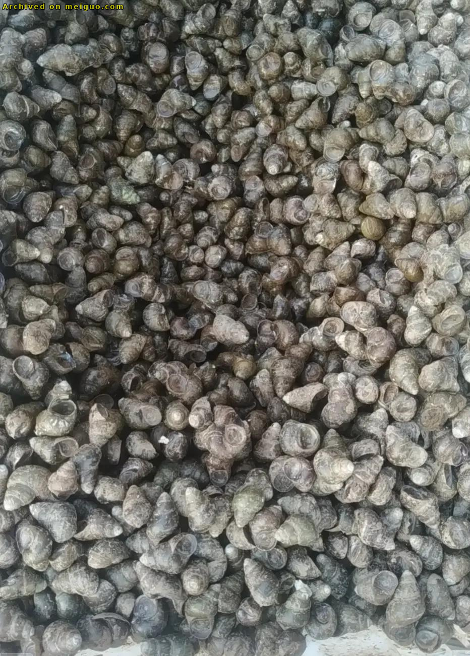 网友分享在meiguo.com上的图片