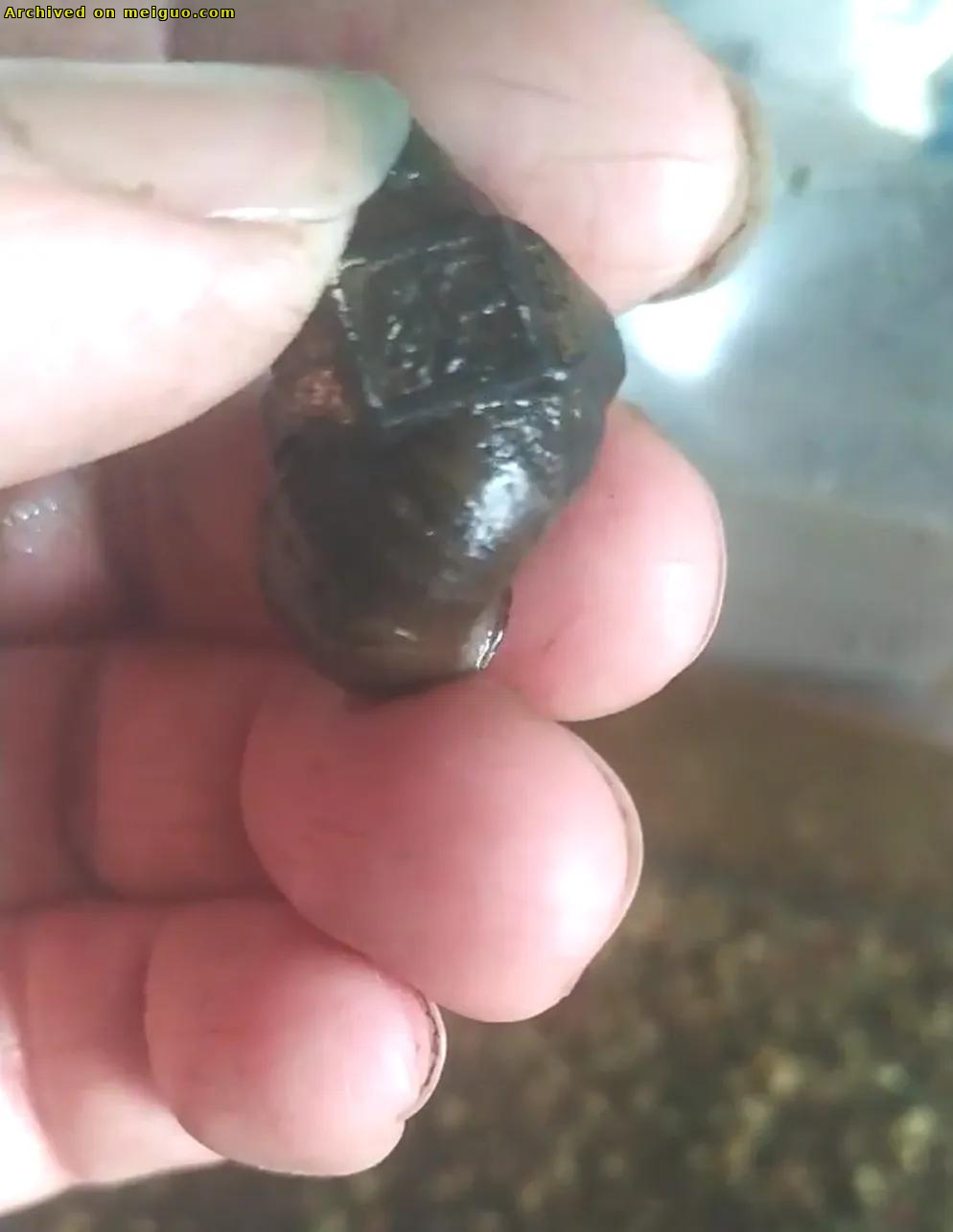 网友分享在meiguo.com上的图片