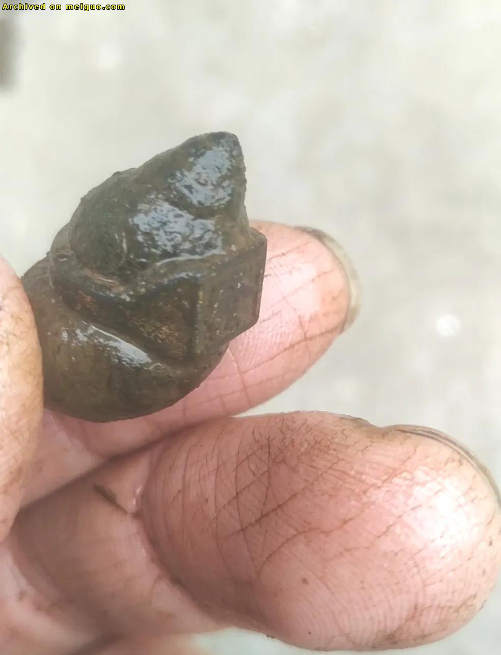 网友分享在meiguo.com上的图片