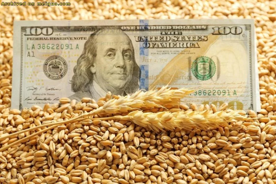 网友分享在meiguo.com上的图片