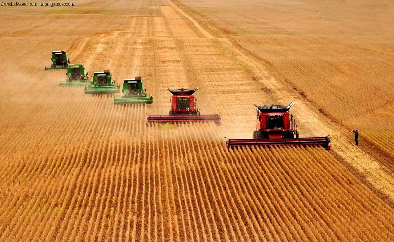 网友分享在meiguo.com上的图片