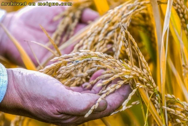 网友分享在meiguo.com上的图片