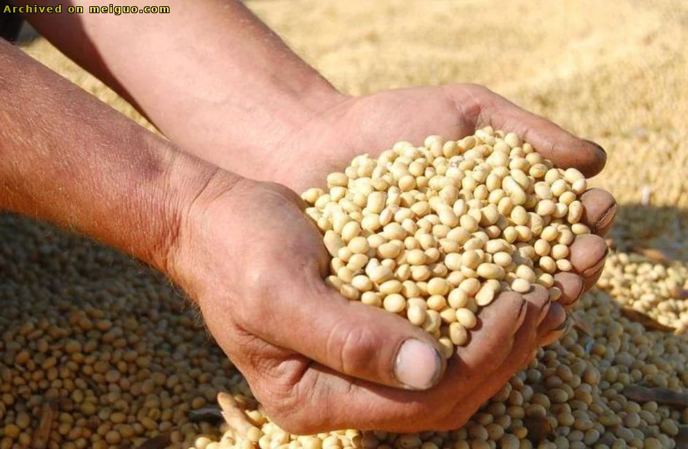 网友分享在meiguo.com上的图片