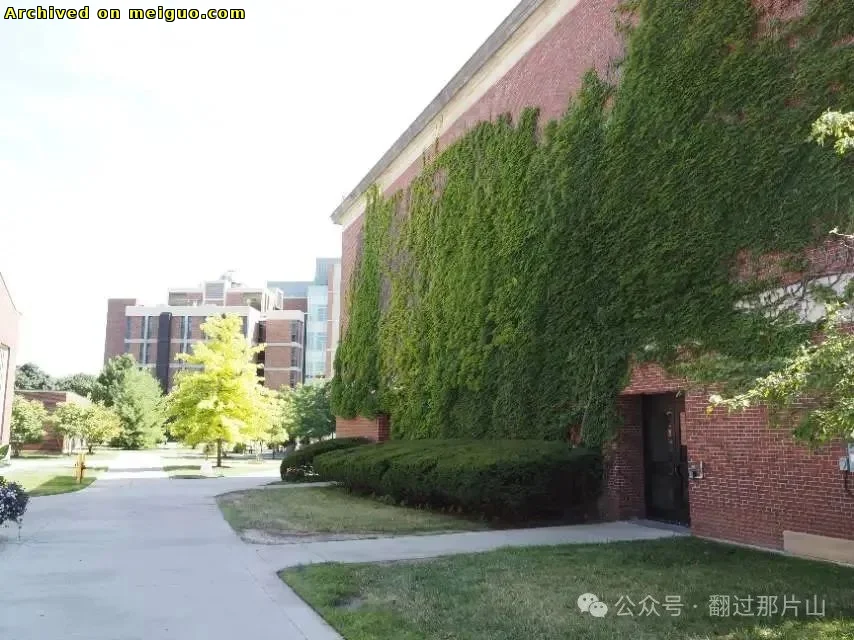 网友分享在meiguo.com上的图片