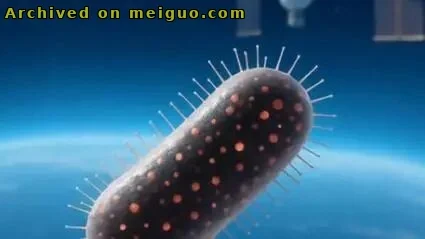 网友分享在meiguo.com上的图片