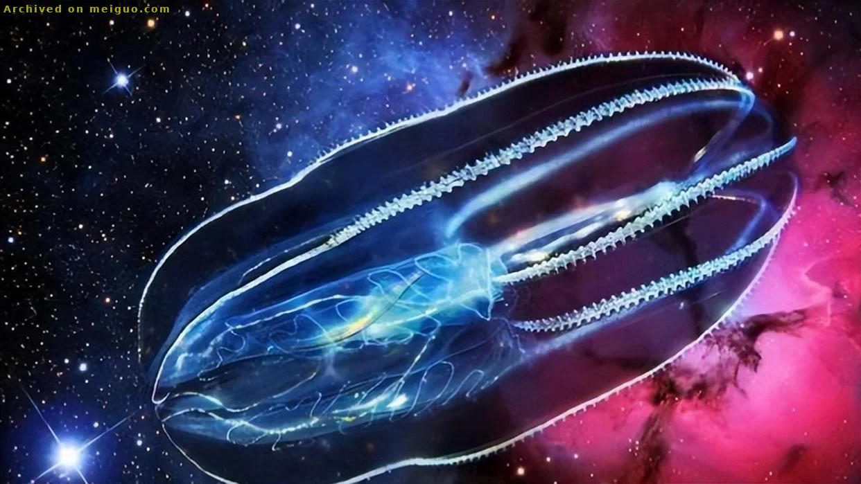 网友分享在meiguo.com上的图片