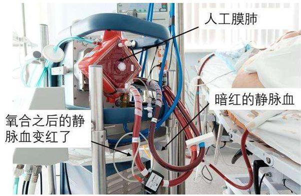 网友分享在meiguo.com上的图片