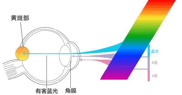 网友分享在meiguo.com上的图片