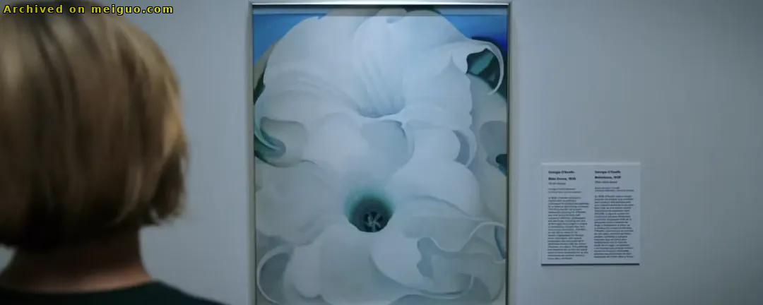 网友分享在meiguo.com上的图片