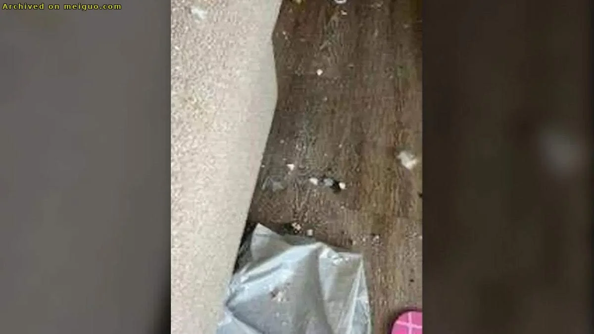 网友分享在meiguo.com上的图片