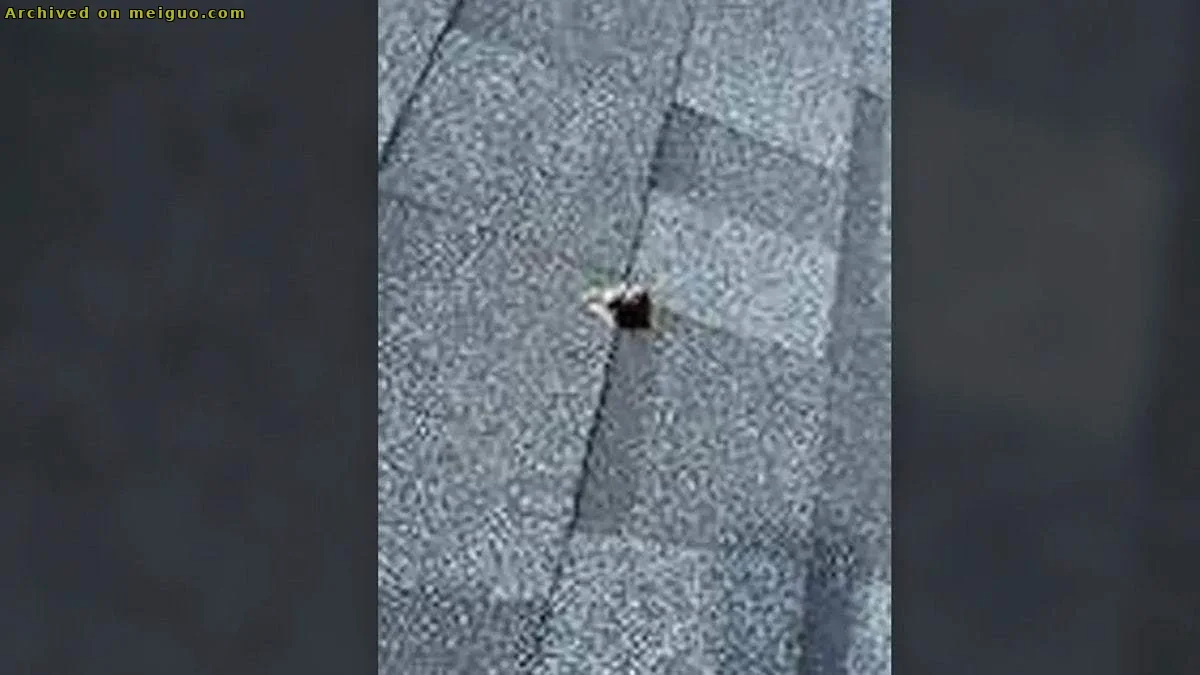 网友分享在meiguo.com上的图片
