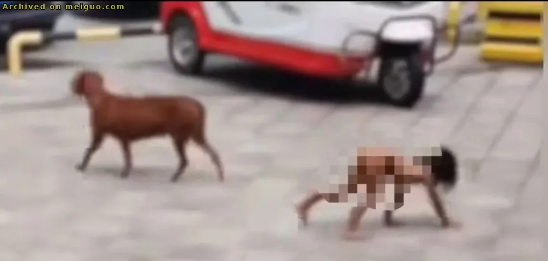 网友分享在meiguo.com上的图片