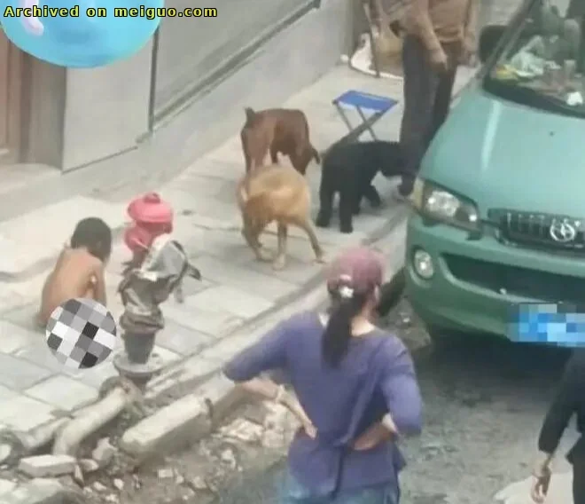 网友分享在meiguo.com上的图片