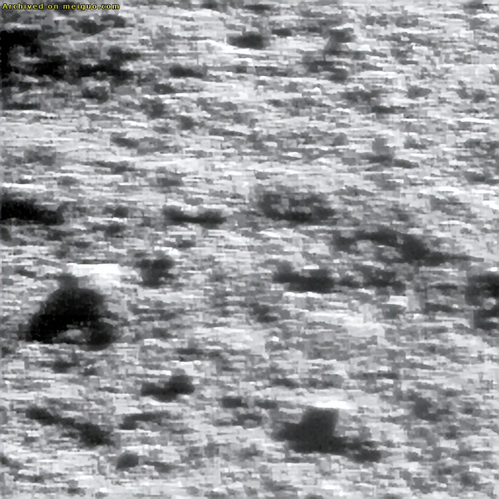 网友分享在meiguo.com的图片