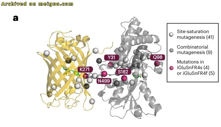 网友分享在meiguo.com上的图片