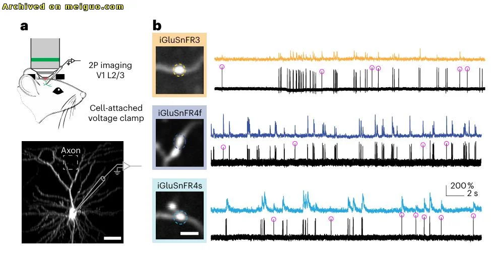 网友分享在meiguo.com上的图片