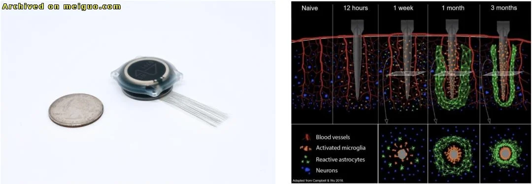 网友分享在meiguo.com上的图片