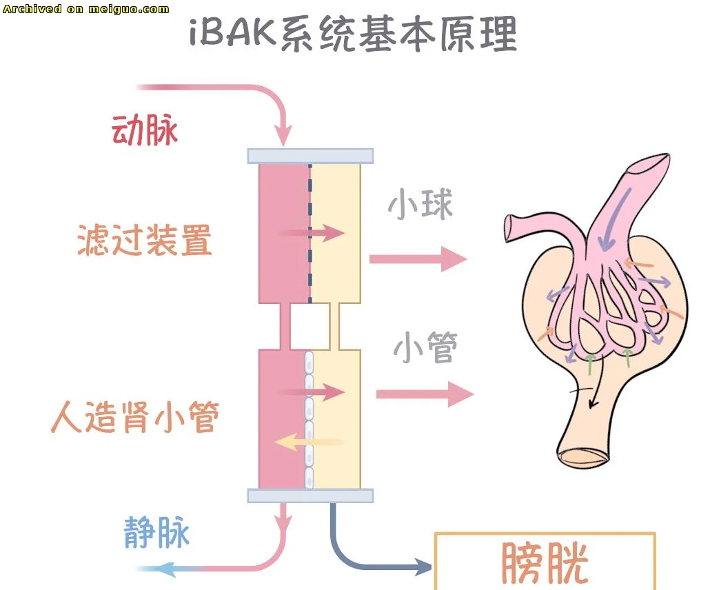 网友分享在meiguo.com上的图片