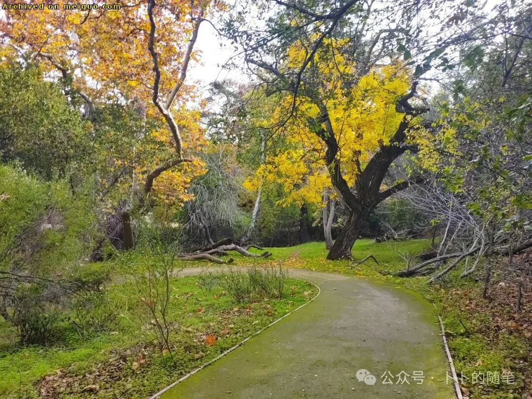 网友分享在meiguo.com上的图片