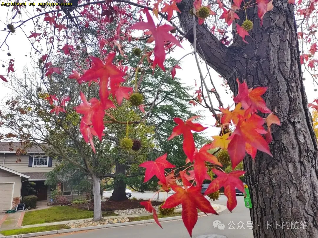 网友分享在meiguo.com上的图片