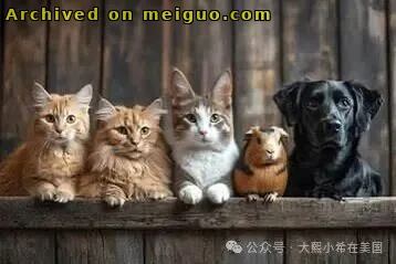 网友分享在meiguo.com上的图片