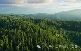 网友分享在meiguo.com上的图片
