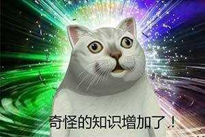 网友分享在meiguo.com上的图片