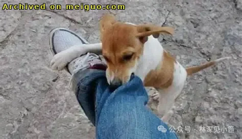 网友分享在meiguo.com上的图片