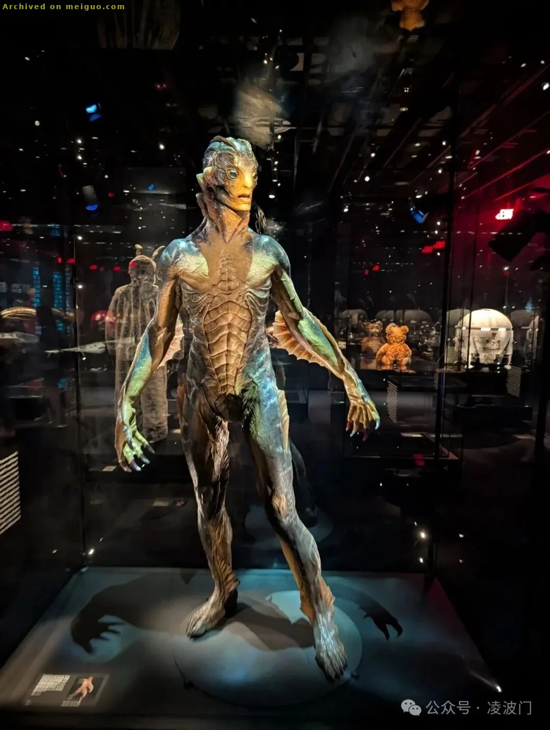 网友分享在meiguo.com上的图片