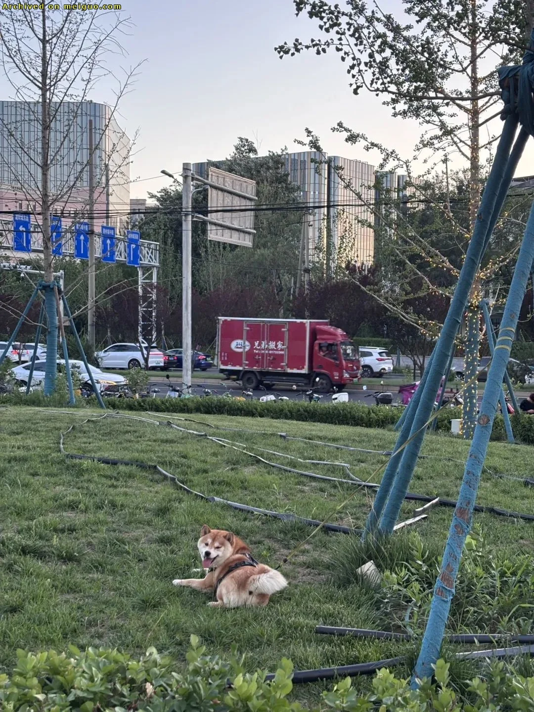 网友分享在meiguo.com上的图片