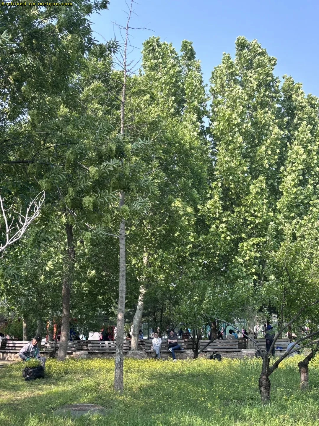 网友分享在meiguo.com上的图片